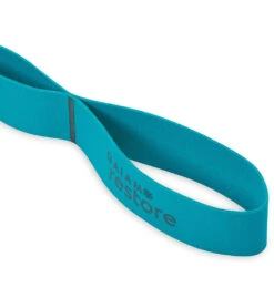 Gaiam Restore Resistance Band Stretch Strap