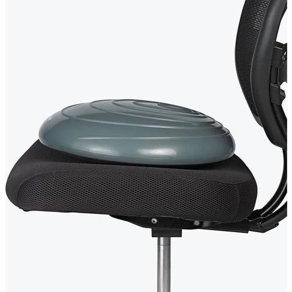 Gaiam Balance Disc - Image 2